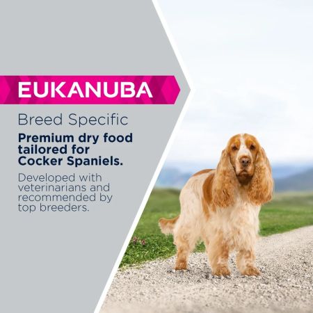 Eukanuba Breed Specific Cocker Spaniel Adult Dry Dog Food #5
