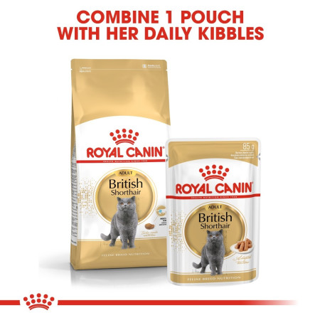 Royal Canin British Shorthair Adult Dry Cat Food #2