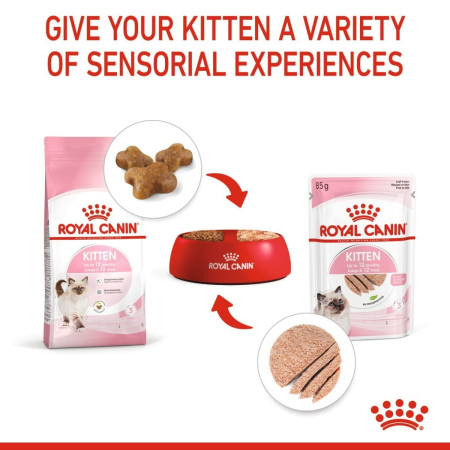 Royal Canin Kitten Wet Food Loaf in Sauce #4