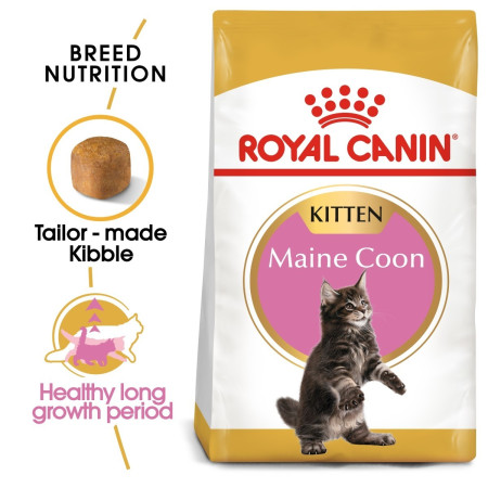 Royal Canin Maine Coon Kitten Dry Cat Food