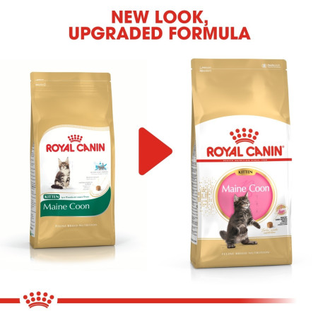 Royal Canin Maine Coon Kitten Dry Cat Food #2