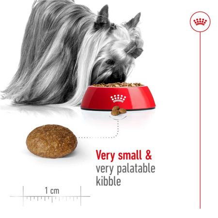 Royal Canin X Small Adult 8+ Dry Dog Food #4