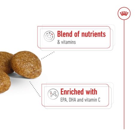 Royal Canin X Small Adult 8+ Dry Dog Food #5