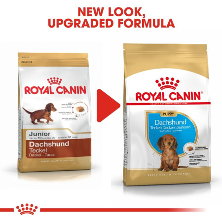 Royal Canin Cocker Spaniel Dry Puppy Food 3kg #3