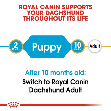 Royal Canin Cocker Spaniel Dry Puppy Food 3kg #5