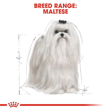 Royal Canin Maltese Dry Adult Dog Food #5