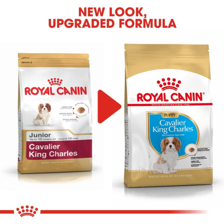 Royal Canin Cavalier King Charles Dry Puppy Food #3