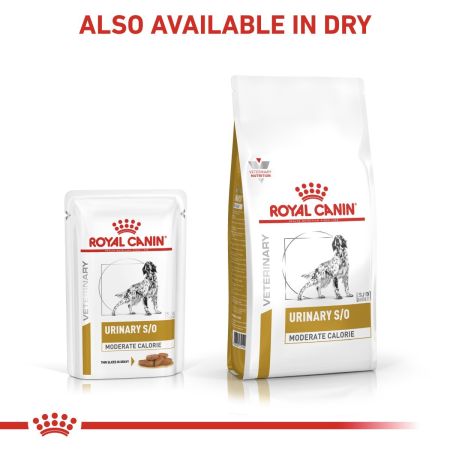 Royal Canin Urinary SO Moderate Calorie Pouches for Dogs #4