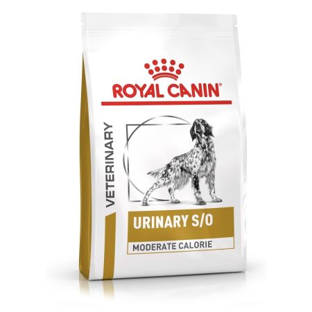 Royal Canin Urinary SO Moderate Calorie for Dogs