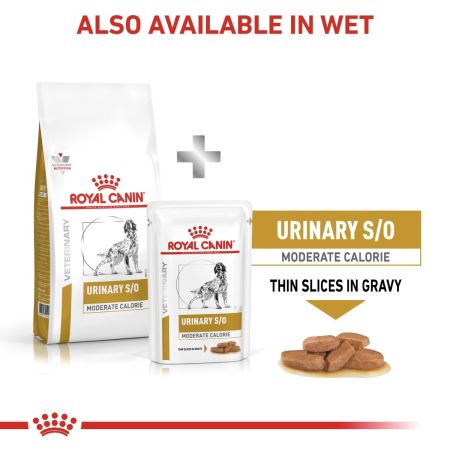 Royal Canin Urinary SO Moderate Calorie for Dogs #4