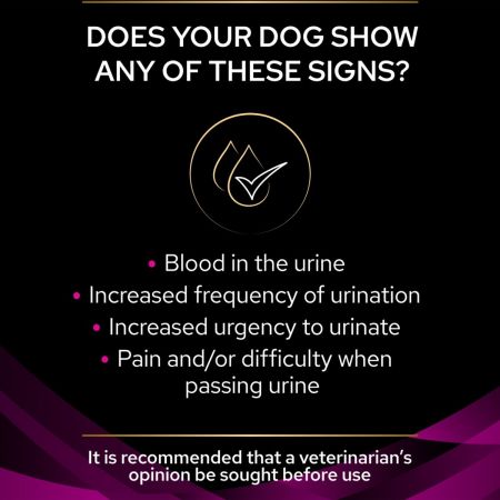 Purina Pro Plan Veterinary Diets UR Urinary Dry Dog Food #2