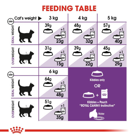 Royal Canin Regular Sensible 33 Adult Dry Cat Food #6