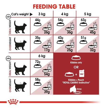 Royal Canin Regular Fit 32 Adult Dry Cat Food #6