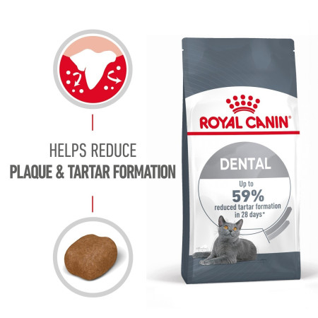 Royal Canin Dental Care Adult Dry Cat Food