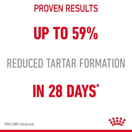 Royal Canin Dental Care Adult Dry Cat Food #6