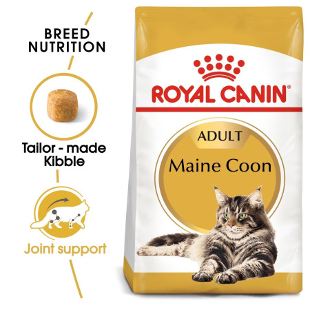 Royal Canin Maine Coon Adult Dry Cat Food