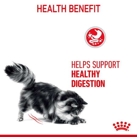 Royal Canin Digestive Care Adult Wet Cat Food in Gravy #5