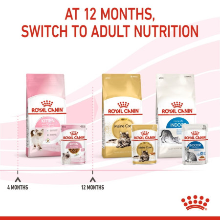 Royal Canin Kitten Wet Food Chunks in Gravy #6