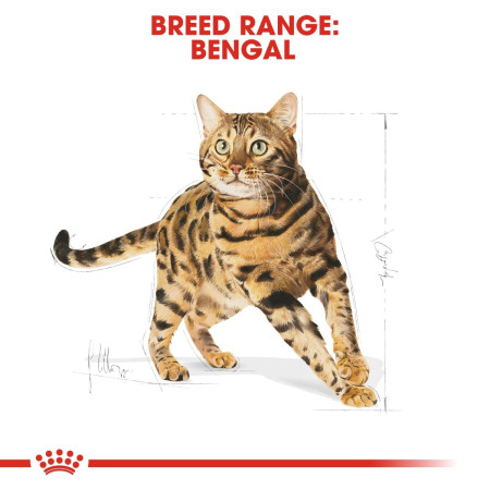 Royal Canin Bengal Adult Dry Cat Food 2kg #5