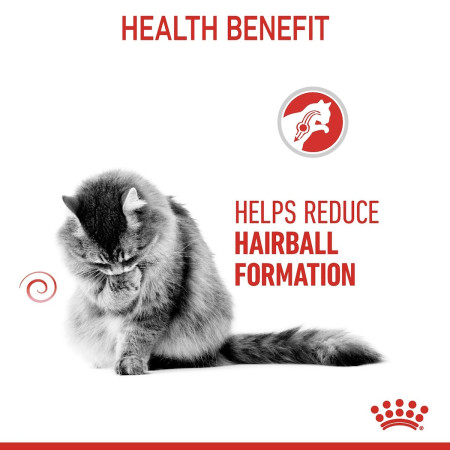 Royal Canin Hairball Care Adult Wet Cat Food in Jelly #3