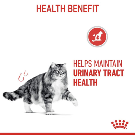 Royal Canin Urinary Care Adult Wet Cat Food in Jelly #5