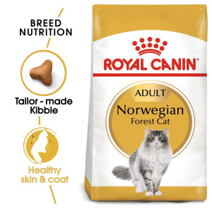 Royal Canin Norwegian Forest Adult Dry Cat Food 10kg