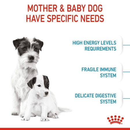 Royal Canin Mini Starter Mother & Babydog Adult Puppy Dry Food #5