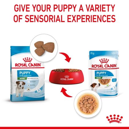 Royal Canin Mini Puppy Wet Food Chunks in Gravy #5
