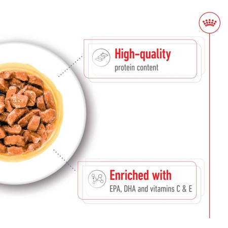 Royal Canin Medium Ageing 7+ Wet Dog Food in Gravy #4