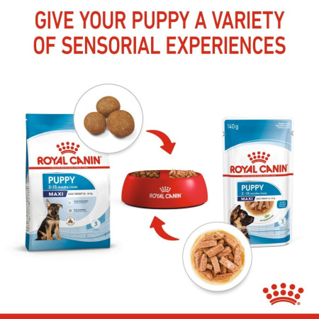 Royal Canin Maxi Puppy Wet Food Chunks in Gravy #5