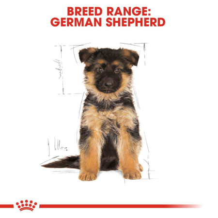 Royal Canin German Shepherd Dry Puppy Food #7